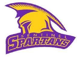 The above image shows the Sentinel's mascot. 