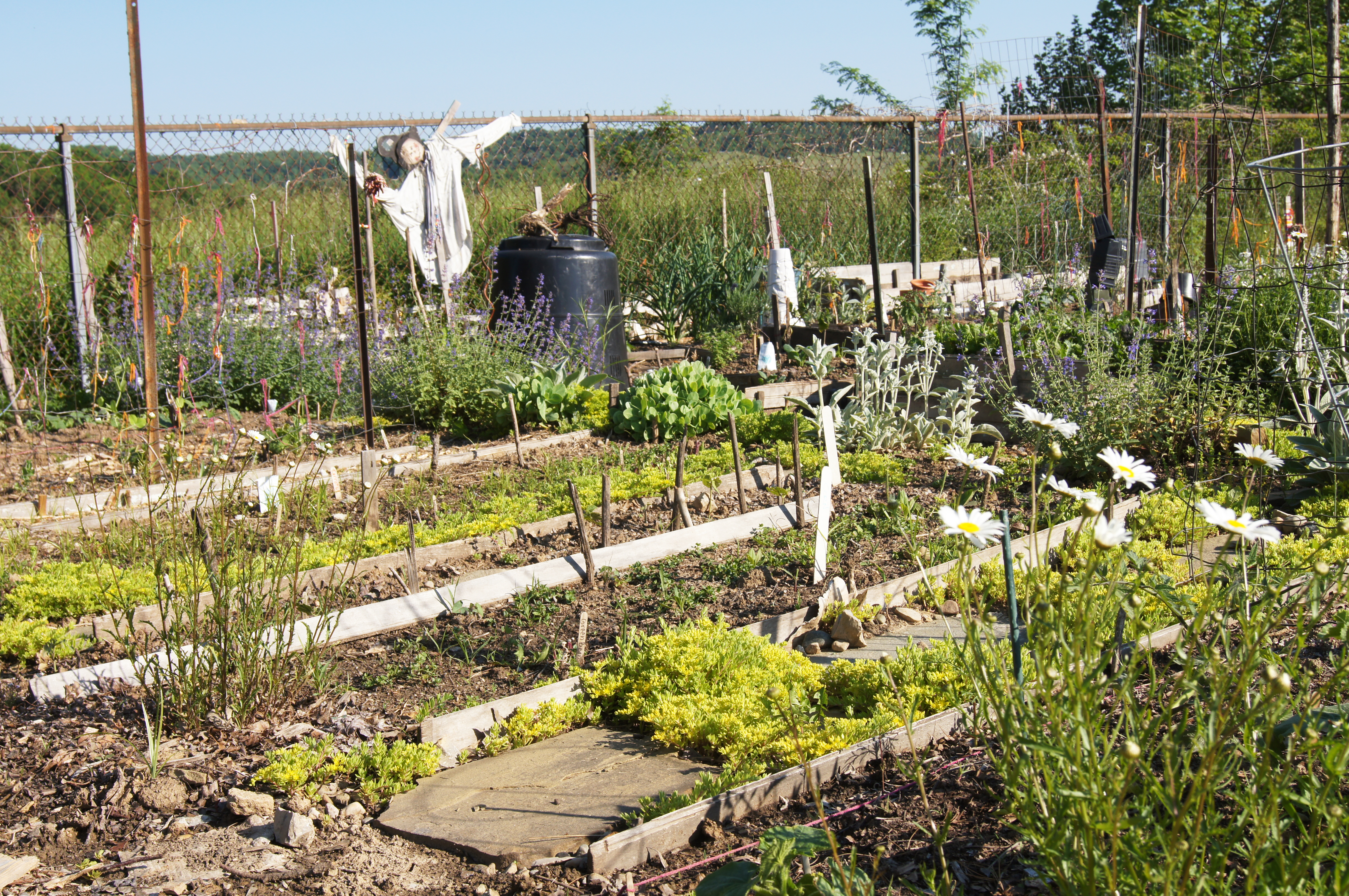Southside Community Garden Work Party