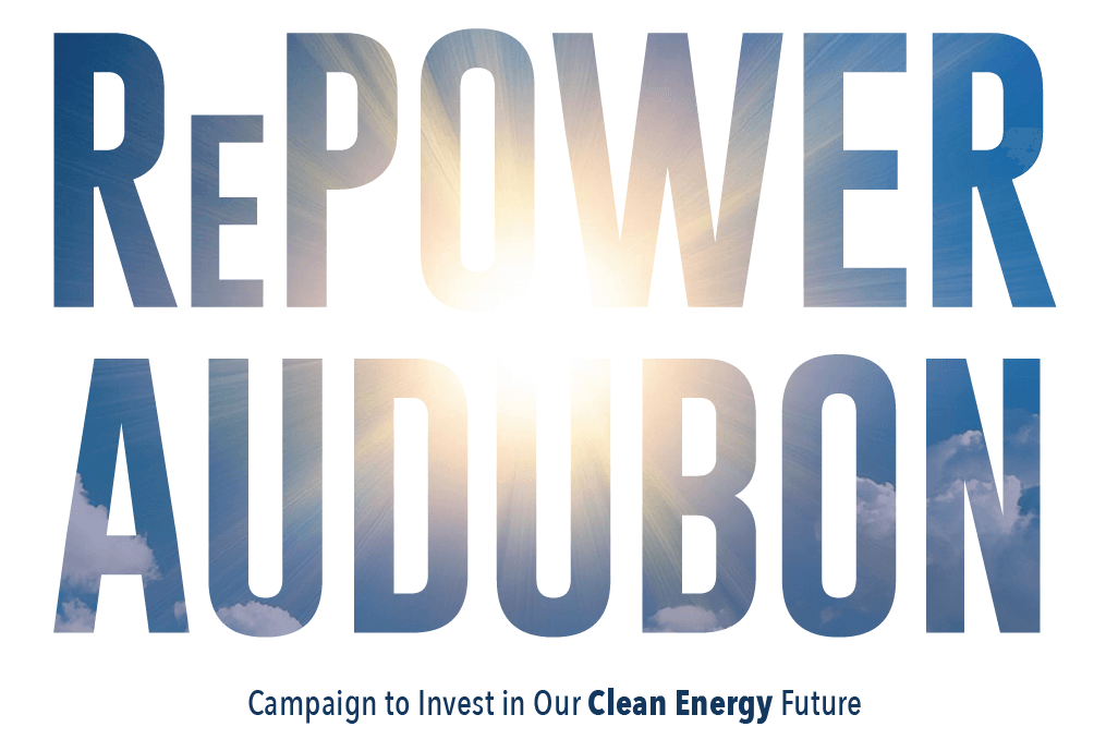 RePower Audubon: Campaign to Invest in Our Clean Energy Future