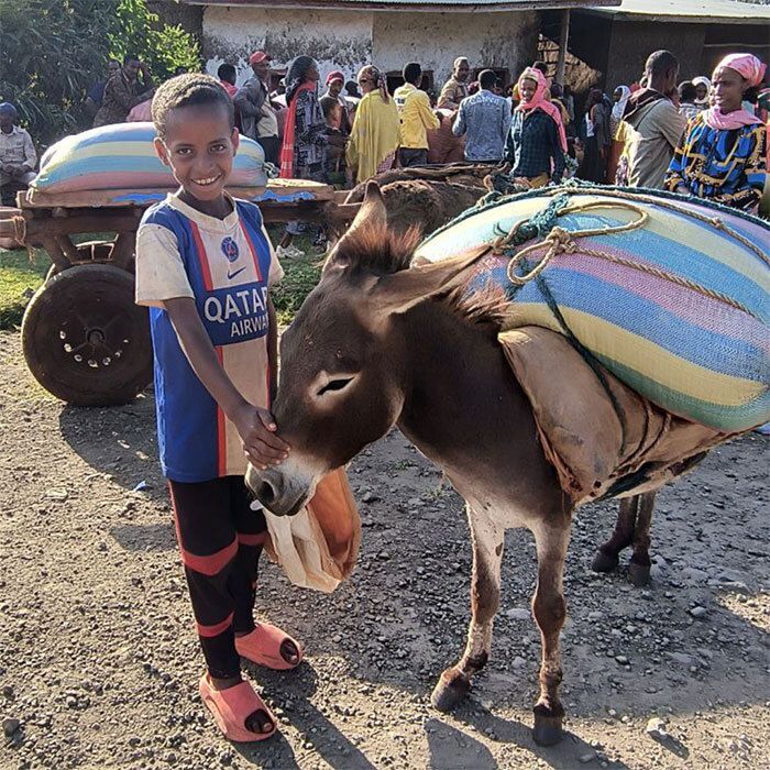 Child petting a donkey.