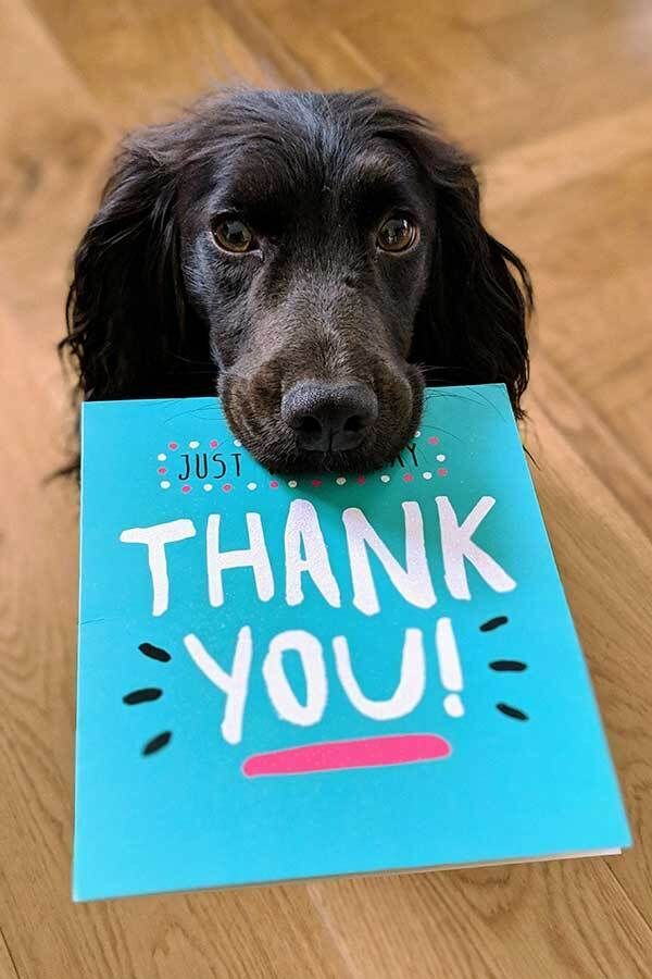 Dog Thank You