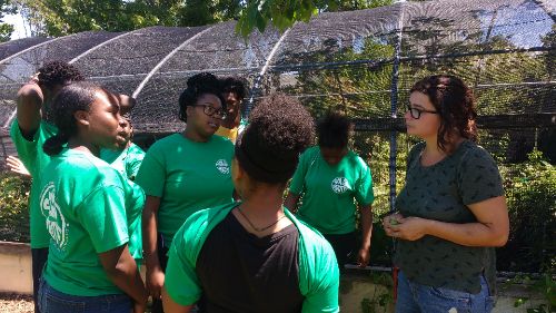 Exploring Plants at Broken Arrow Nursery