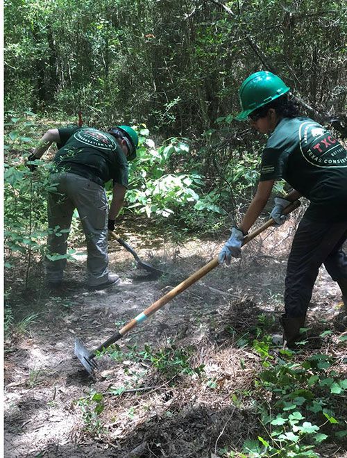 Houston Conservation Corps Works at Northern Sanctuaries