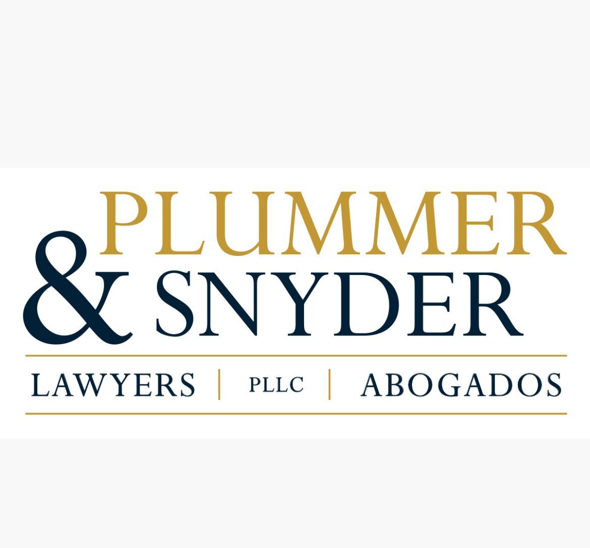 Plummer & Snyder, Pllc