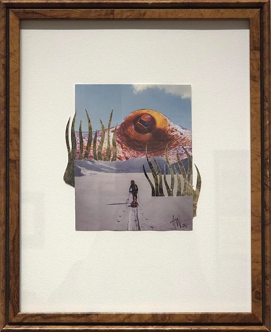 Haley Widness - Cephalo-Pow Day