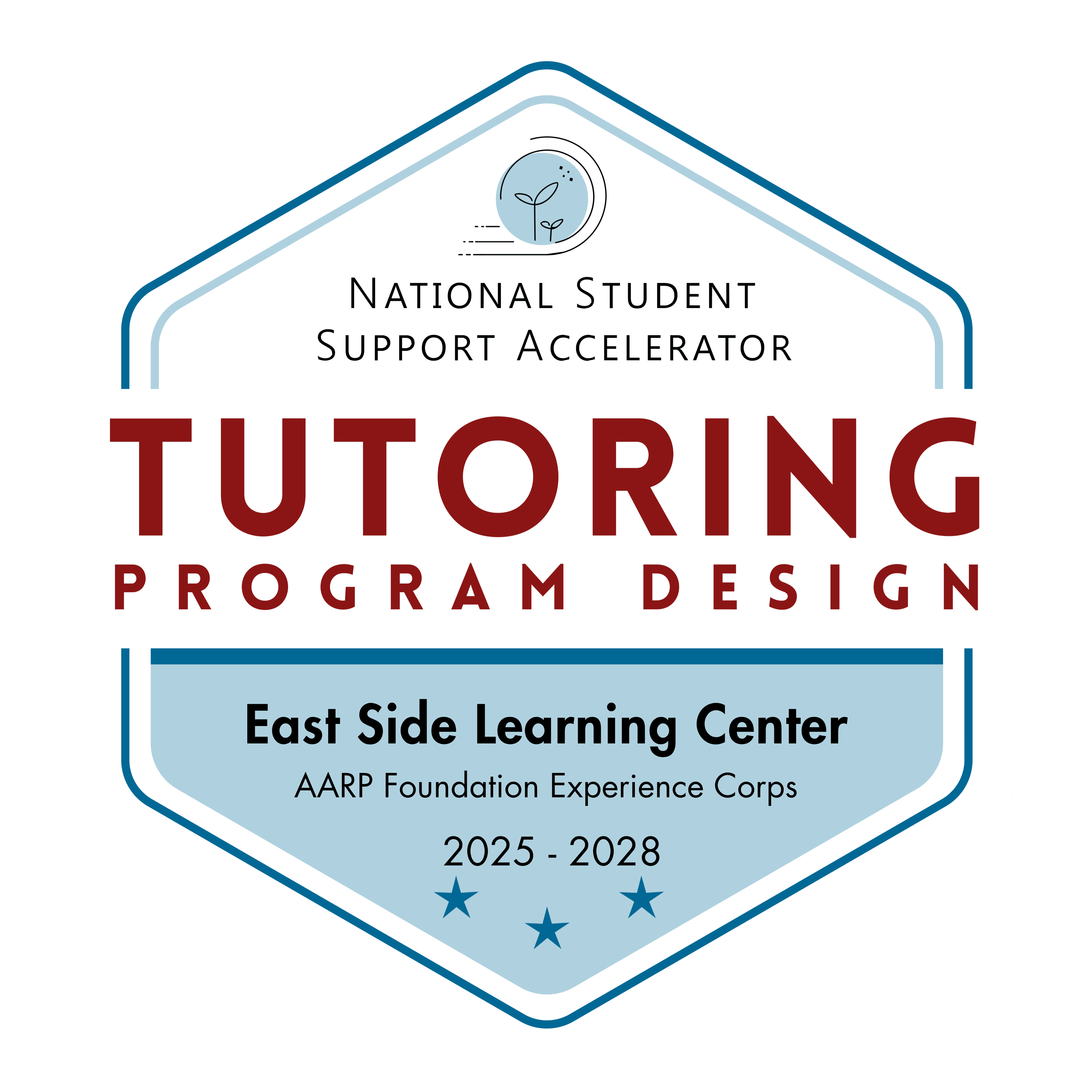 NSSA Tutor Program Design Badge