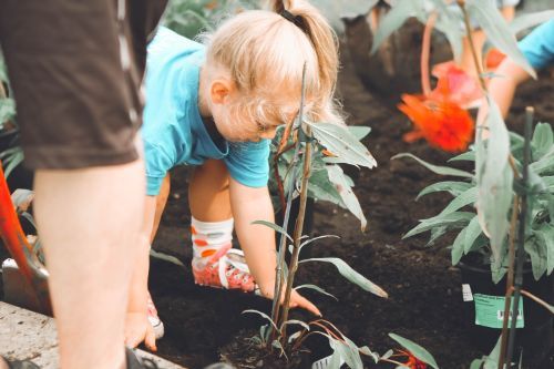 La Familia Community Garden