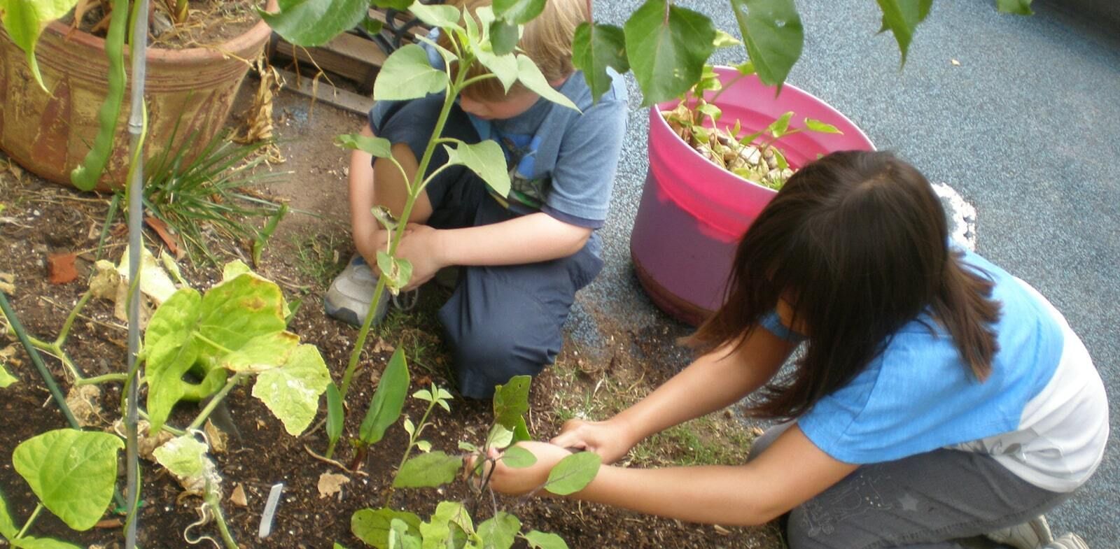 Children with plants