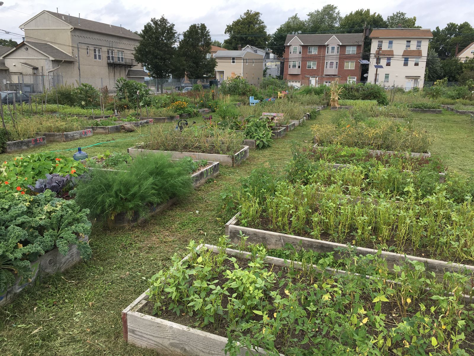 Greater Newark Conservancy Programs Urban Agriculture & Community