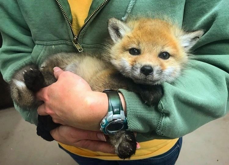 Giving Tuesday Appreciation