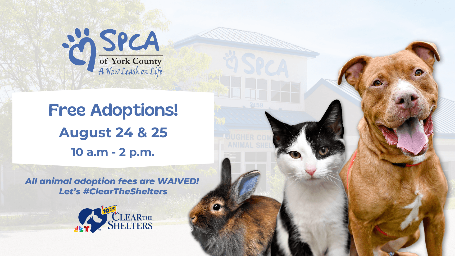 Let's Clear The Shelters! All Animal Adoption Fees Are Waived August 24 & 25!