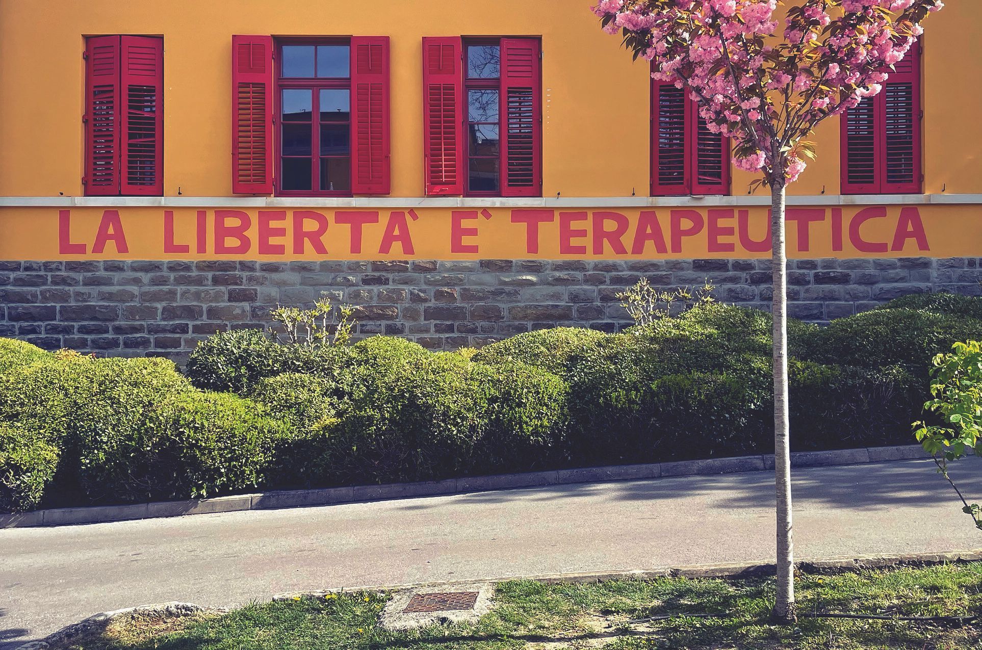 Freedom is Therapuetic