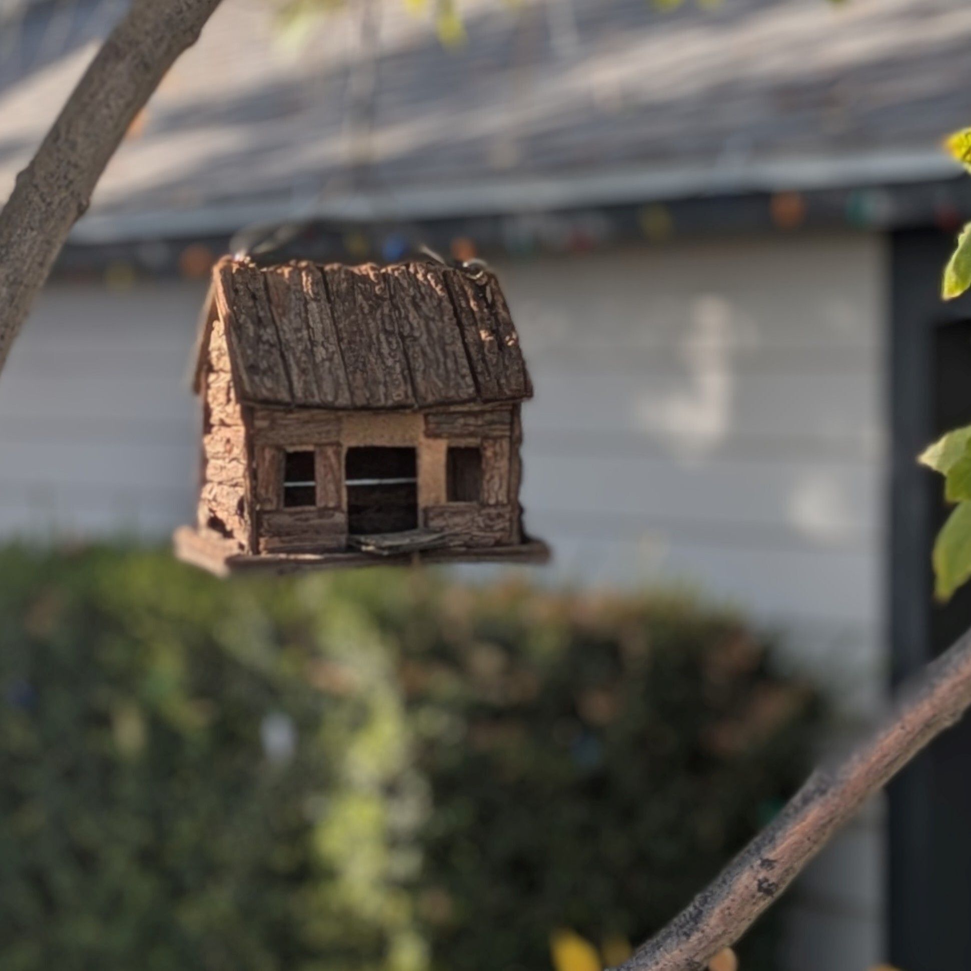 A Birdhouse and a Home