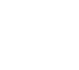 Peerless Technologies Corporation