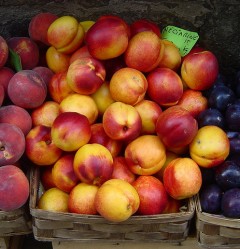 Produce for All – All Nations Church