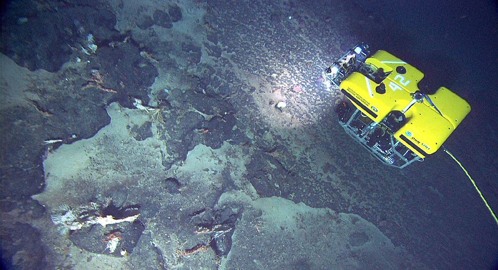 An ROV explores the ocean floor
