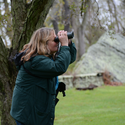 Audubon Seniore Director of Education Lauren Parmelee searches for birds.