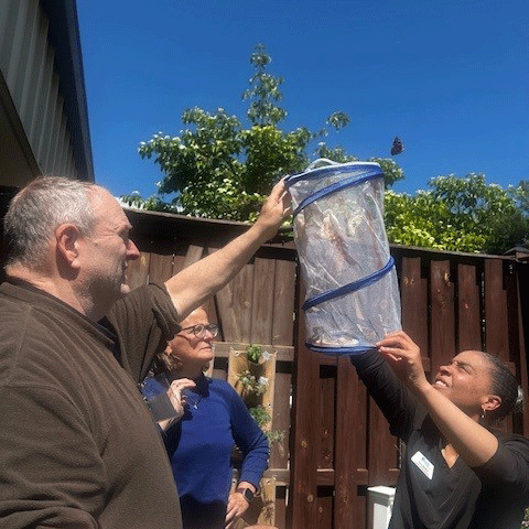 Releasing Butterflies