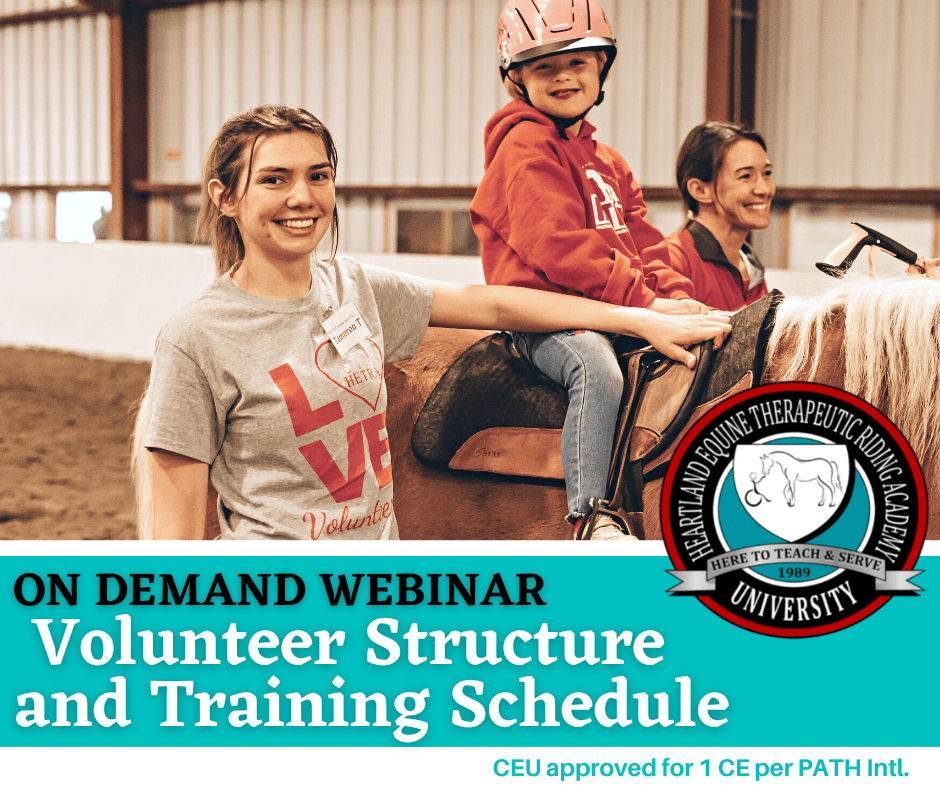 Volunteer structure & training schedule