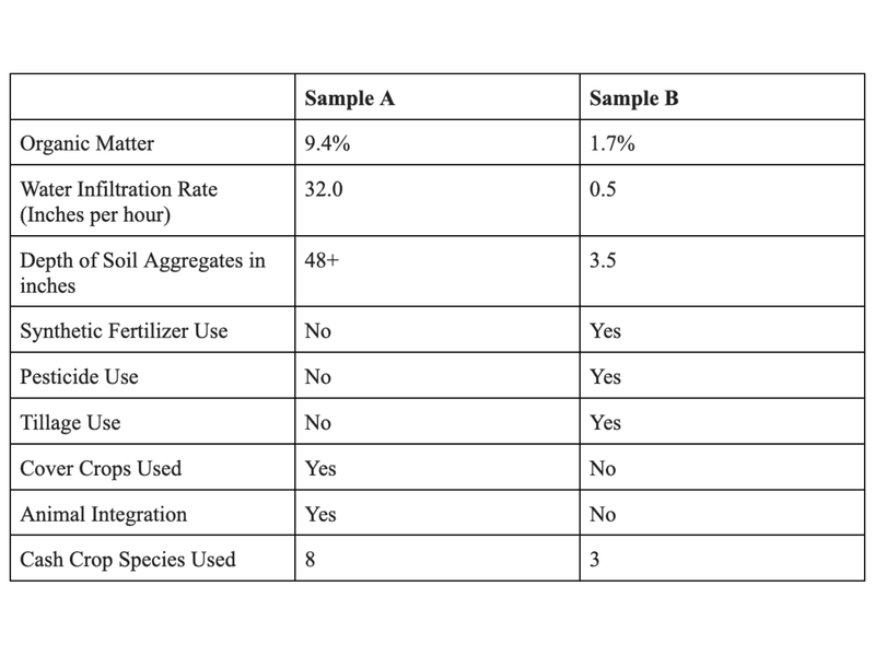 Table comparing the features of two soil samples