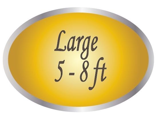 Large Plaques (5 ft to 8 ft in diameter)