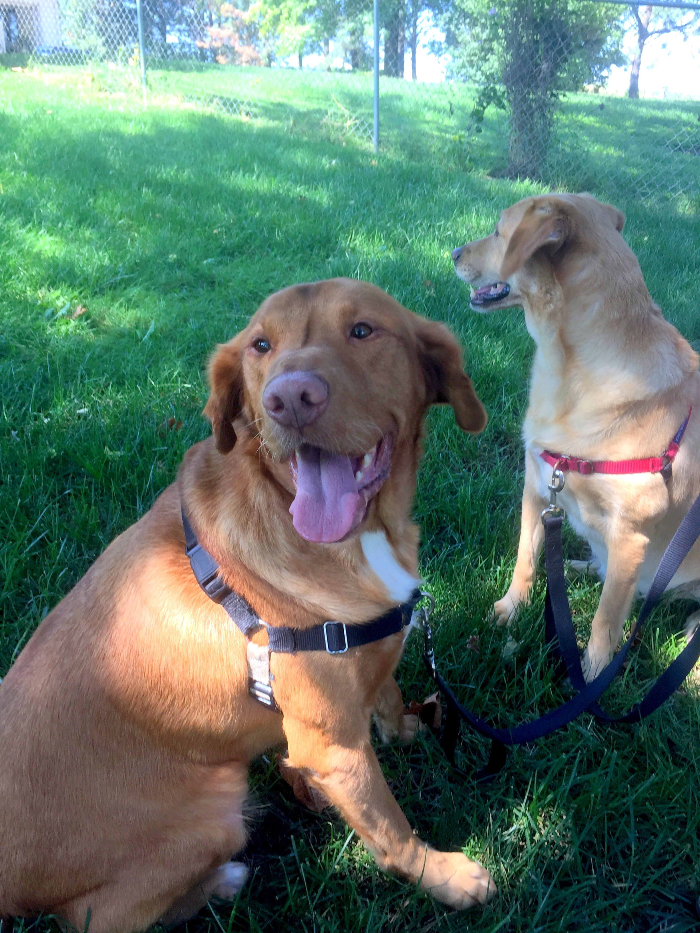 Rosco and Daisy