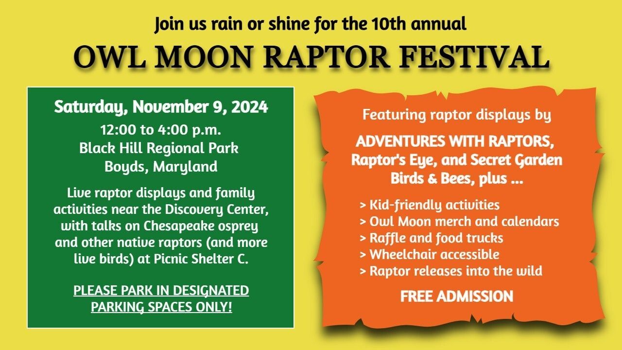 Owl Moon Raptor Festival Flyer 2024