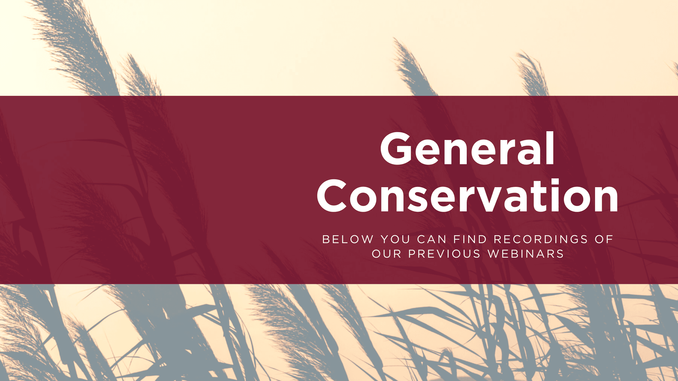 General Conservation