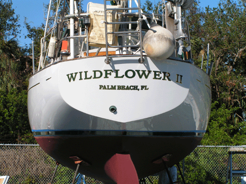 Wildflower II Boat