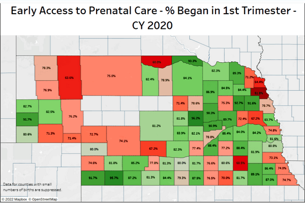 Maternal, Child Health Data|Partnership For A Healthy Nebraska