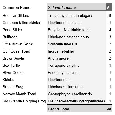 Edith Moore Herp Survey April Results