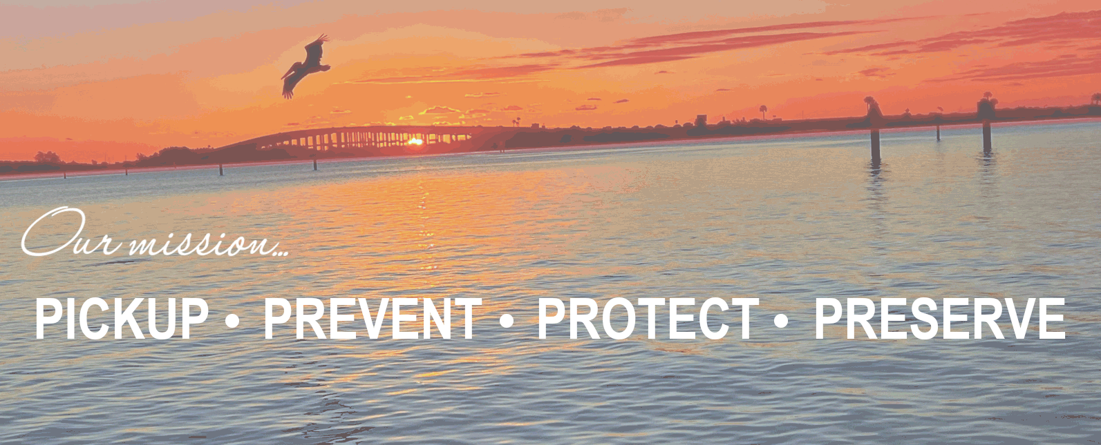 Oliver walks across 4Ps on Home Page