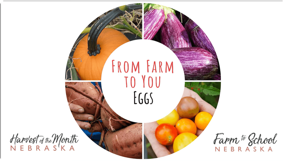 Farm to You - Eggs, Common Good Farm