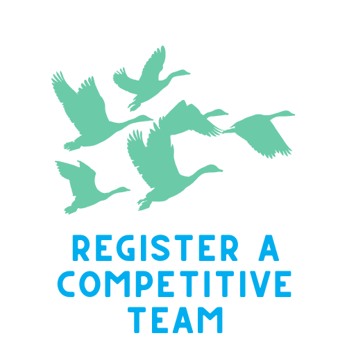Register a Team