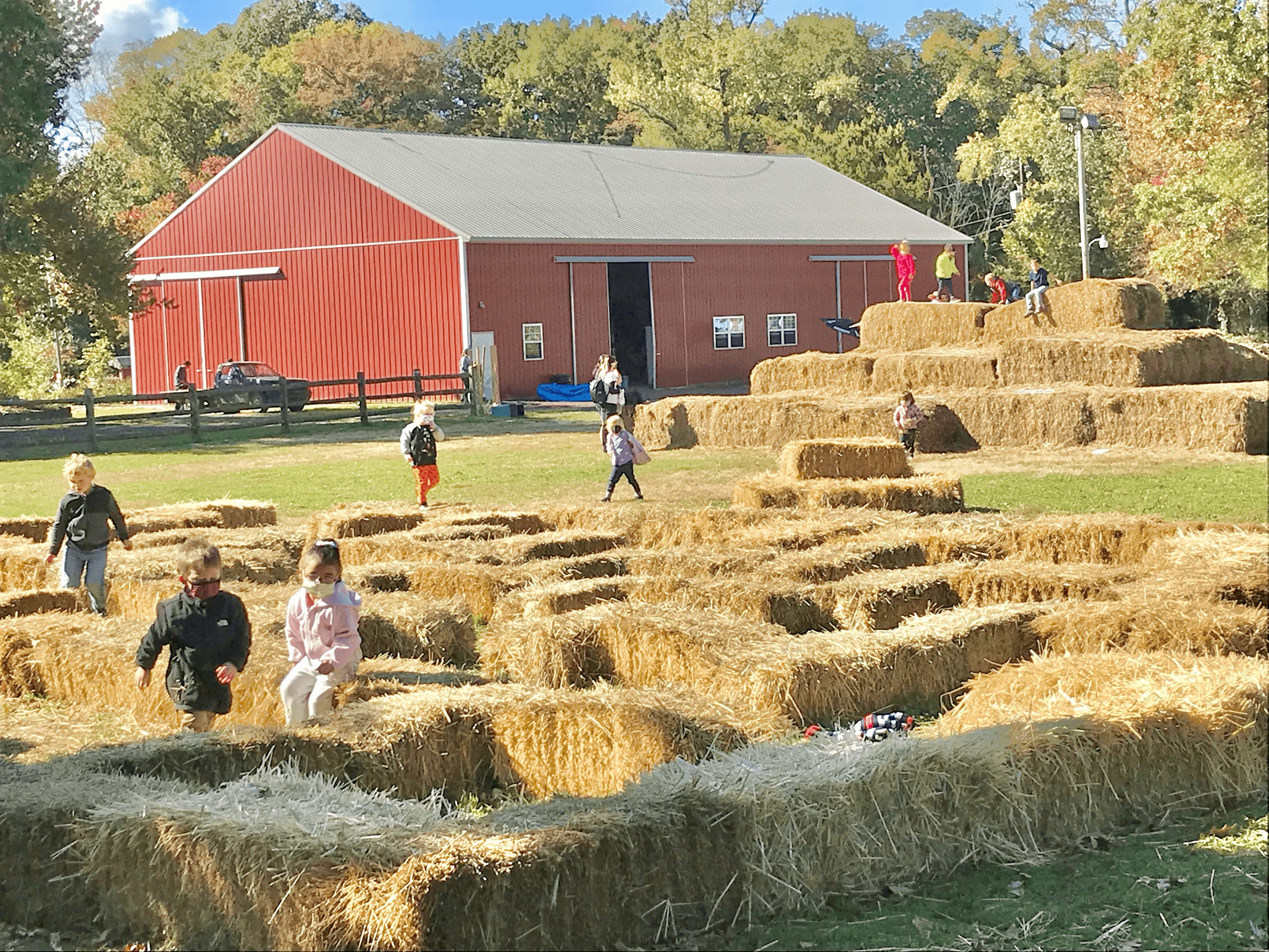 Seasonal Field Trips