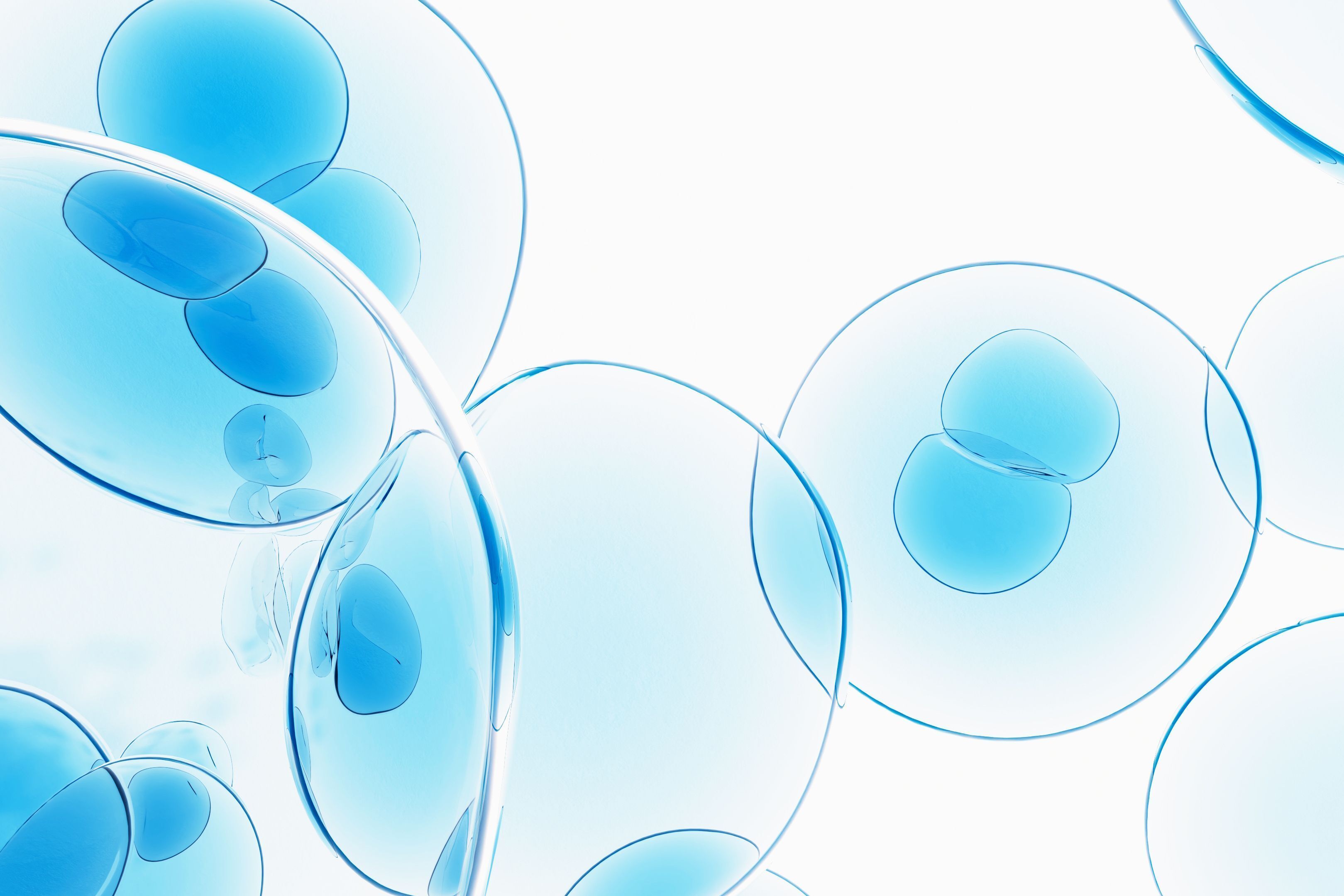 Cracking T1D Cell Supply: The Basics