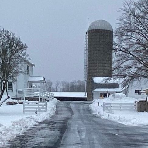 Winter at Hilltop Hanover Farm