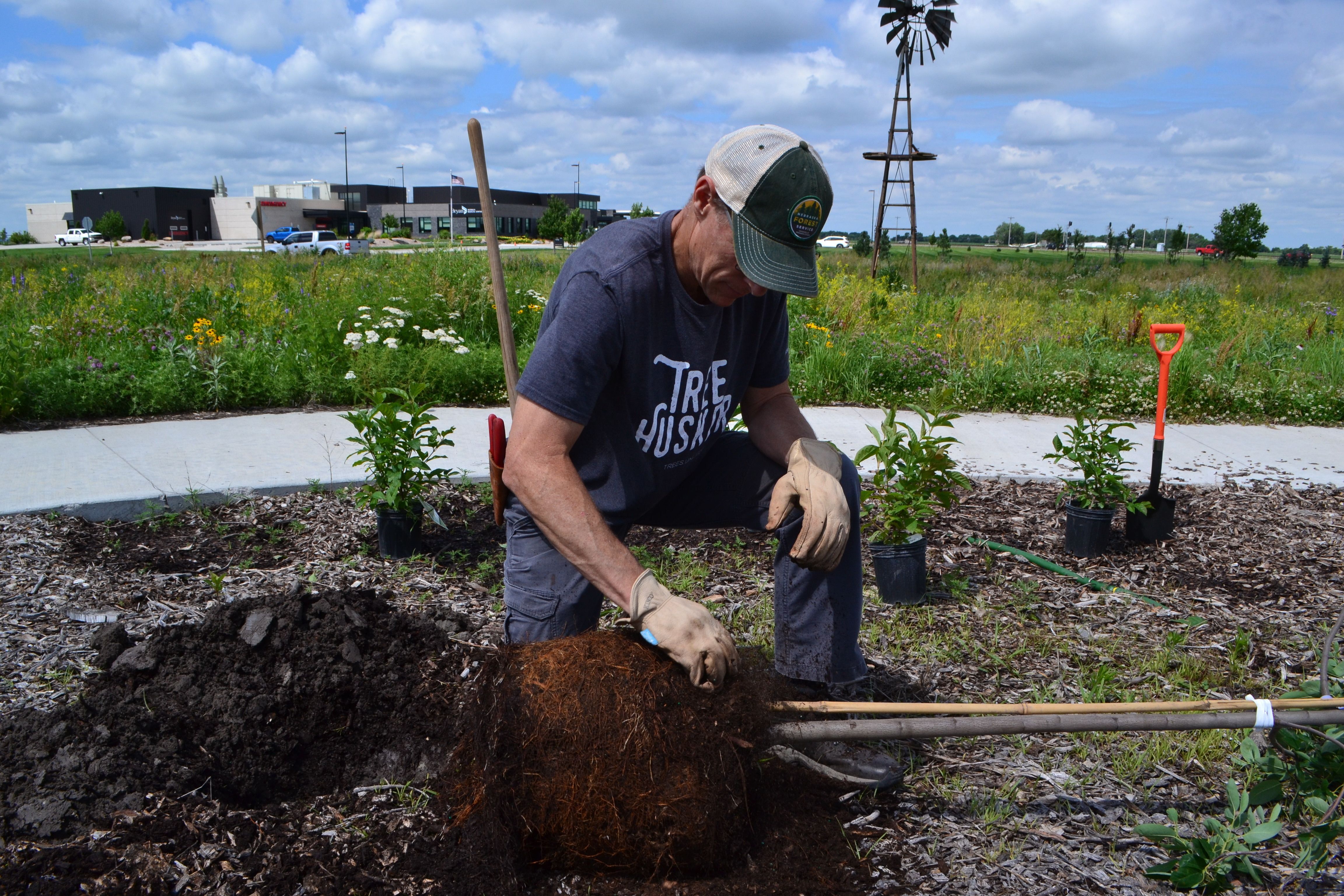 Watch Our Tree Planting 101 Instructional video