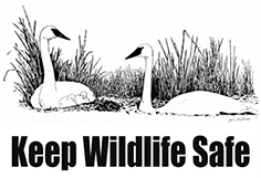 Keep Wildlife Safe using non lead tackle and ammunition