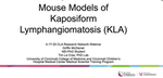 Mouse Models of Kaposiform Lymphangiomatosis