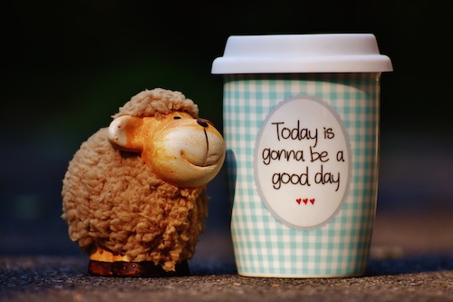 6 Tips to Train Your Brain to Be More Positive