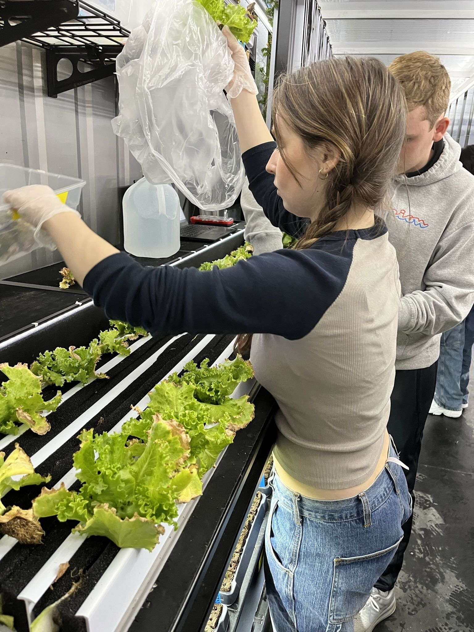 Methacton students learn valuable skills from hydroponic farm