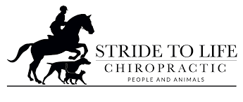 Stride to Life Chirporactic