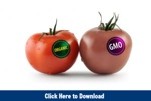 Environment: Should our democracy permit the cultivation of genetically modified foods? (FREE) (SPANISH)