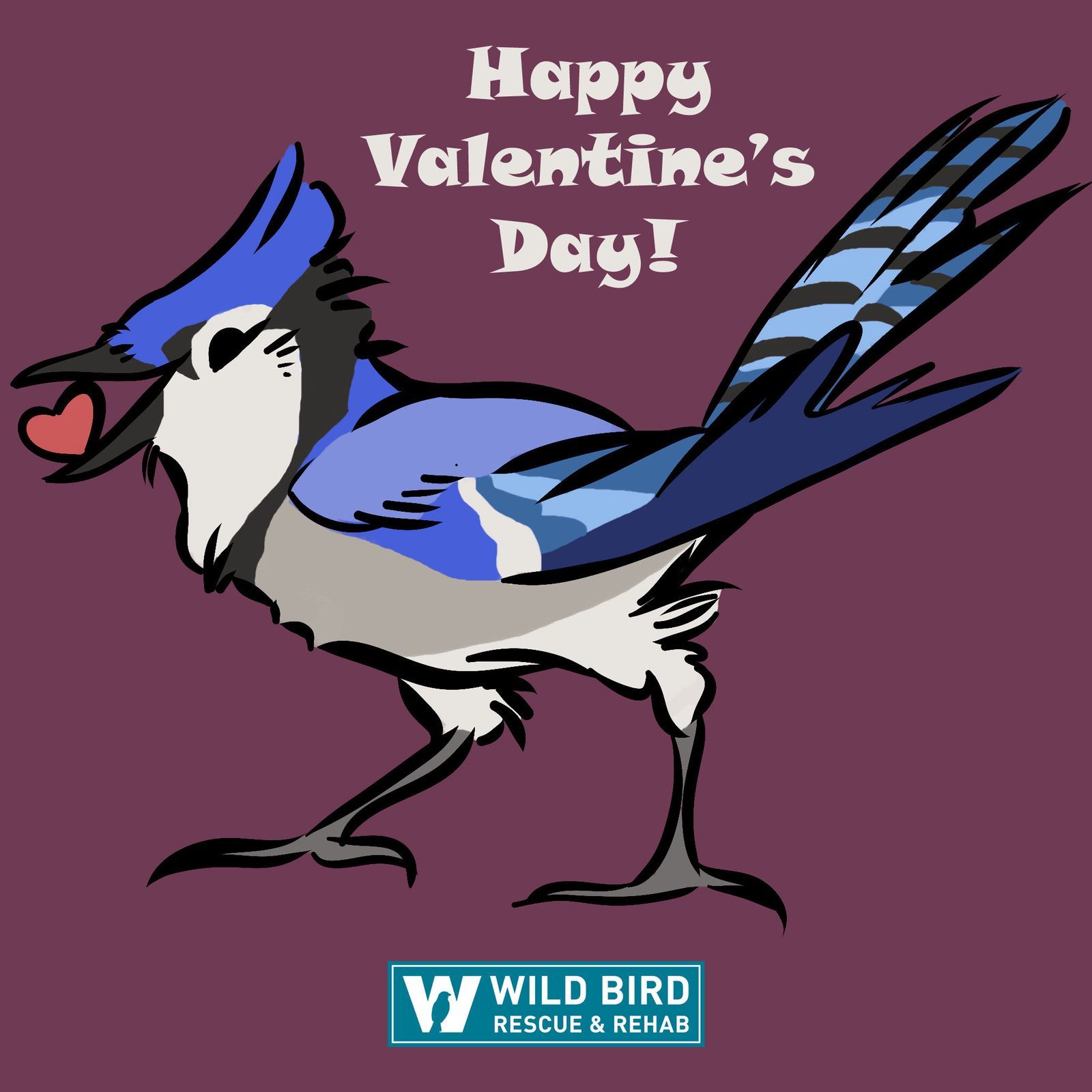 Wild BIRD Rescue and Rehabilitation