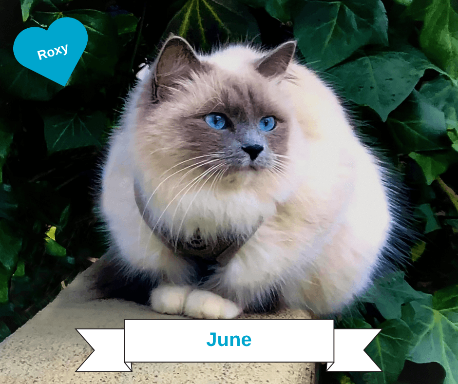 June 2027