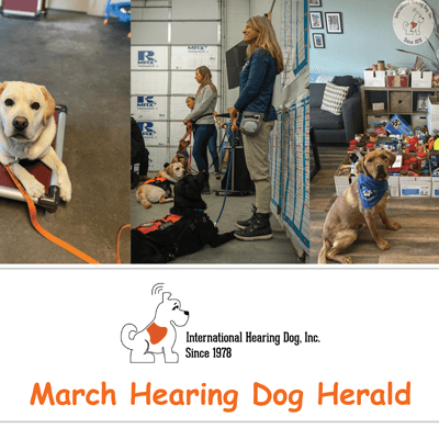 The Hearing Dog Herald - March 2023