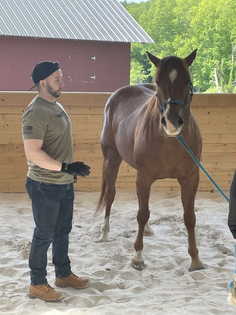 Veteran Equine Therapy