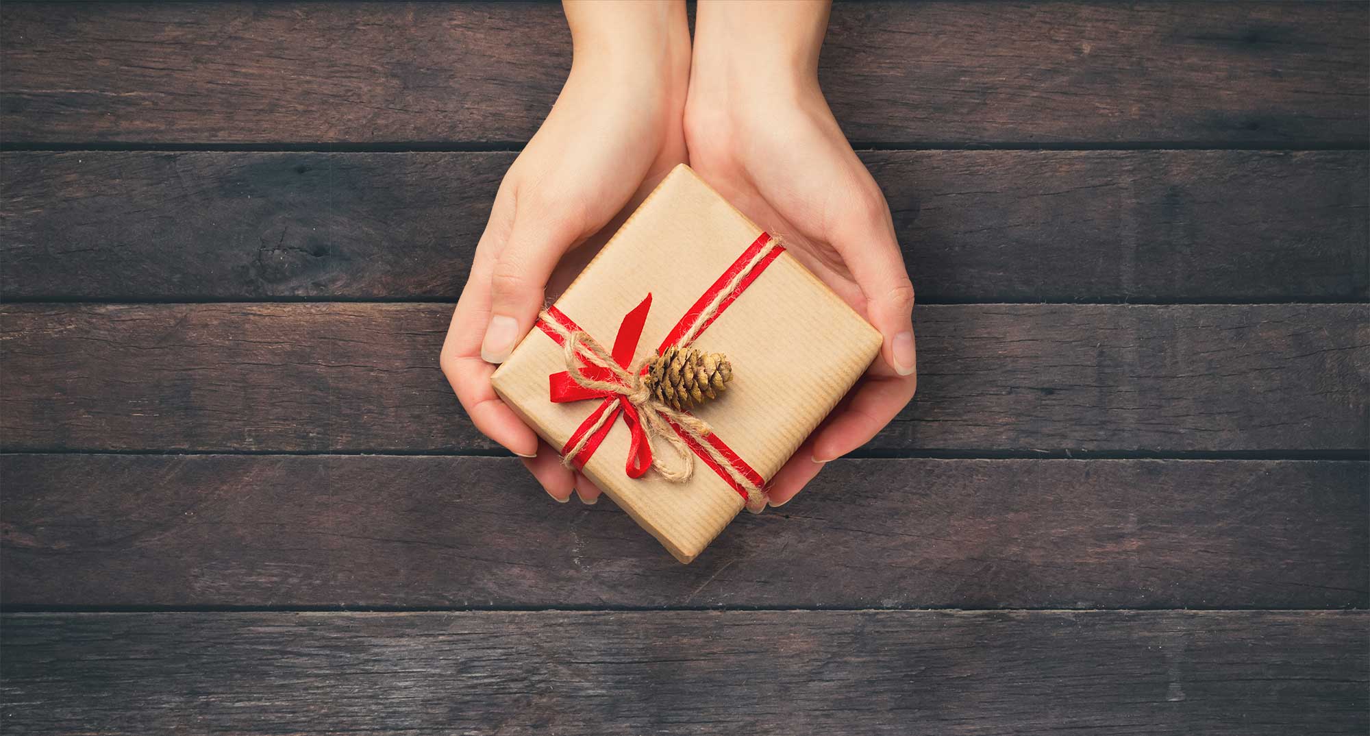 Snapshot of Holiday Giving