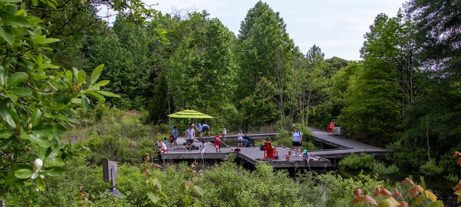 Summer Nature Camp